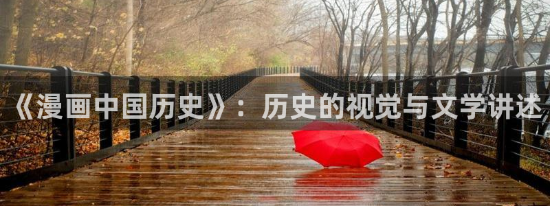 羞羞漫画无遮挡漫画：《漫画中国历史》：历史的视觉与文学讲述